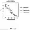 Fig. 13 - Artificial antibody polypeptides