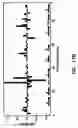 Fig. 19 - Artificial antibody polypeptides