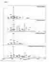 Fig. 23 - Sialic acid permease system