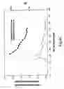 Fig. 10 - Slowly digestible starch