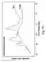 Fig. 17 - Slowly digestible starch