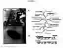 Fig. 02 - Microbial nanowires, related systems and methods of fabrication
