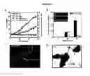 Fig. 04 - Microbial nanowires, related systems and methods of fabrication