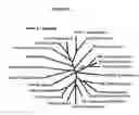 Fig. 06 - Microbial nanowires, related systems and methods of fabrication