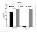 Fig. 07 - Microbial nanowires, related systems and methods of fabrication