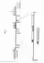 Fig. 02 - Chlorohydrin and hydroxycarboxylic ester asymmetric hydrolase gene