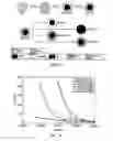 Fig. 18 - Integration of fluids and reagents into self-contained cartridges containing sensor elements and reagent delivery systems