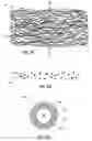 Fig. 06 - Analyte sensing biointerface