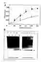 Fig. 04 - High throughput synthesis system and synthesizer for automatically performing the system