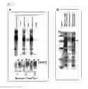Fig. 07 - High throughput synthesis system and synthesizer for automatically performing the system