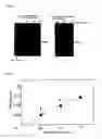 Fig. 08 - High throughput synthesis system and synthesizer for automatically performing the system