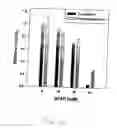 Fig. 13 - Use of steady-state oxygen gradients to modulate animal cell functions