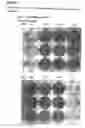 Fig. 03 - Culture medium composition, culture method, and myoblasts obtained, and their uses