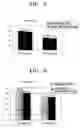 Fig. 05 - Cell lysis by heating-cooling process through endothermic reaction