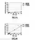 Fig. 06 - Benzene detecting element and preparation process of same