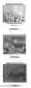 Fig. 04 - Method and apparatus for determining the area or confluency of a sample