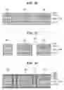 Fig. 05 - Method for manufacturing electronic component-embedded printed circuit board