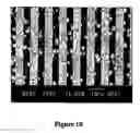 Fig. 11 - Templated cluster assembled wires