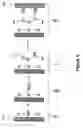 Fig. 07 - Oxygen bridge structures and methods to form oxygen bridge structures
