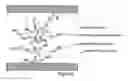 Fig. 05 - Pressure sensing fabric