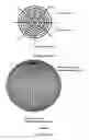 Fig. 12 - Pressure sensing fabric