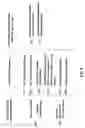 Fig. 07 - Directional information delivery system and method
