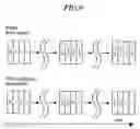Fig. 08 - PLL circuit having a multi-band oscillator and compensating oscillation frequency