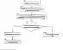 Fig. 01 - Method, system and network entity for providing digital broadband transmission