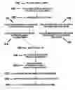 Fig. 01 - System and method for network interactive game match-up and server selection