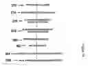 Fig. 17 - System and method for network interactive game match-up and server selection