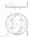 Fig. 12 - Bicycle chainring