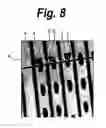 Fig. 09 - Lubricant composition and article, disk molding stamper, disk molding apparatus, disk forming method, method of forming lubrication coating