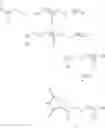 Fig. 488 - Novel NPH insulin preparations