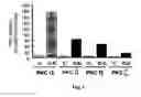 Fig. 04 - Methods and pharmaceutical compositions for healing wounds