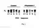 Fig. 07 - Methods and pharmaceutical compositions for healing wounds