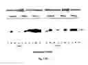 Fig. 16 - Methods and pharmaceutical compositions for healing wounds