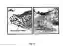 Fig. 17 - Methods and pharmaceutical compositions for healing wounds