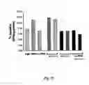 Fig. 28 - Methods and pharmaceutical compositions for healing wounds