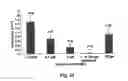 Fig. 29 - Methods and pharmaceutical compositions for healing wounds