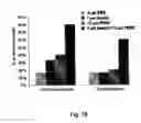 Fig. 31 - Methods and pharmaceutical compositions for healing wounds