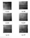 Fig. 43 - Methods and pharmaceutical compositions for healing wounds
