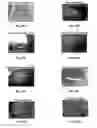 Fig. 45 - Methods and pharmaceutical compositions for healing wounds