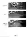 Fig. 49 - Methods and pharmaceutical compositions for healing wounds