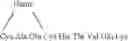 Fig. 08 - Heme peptide