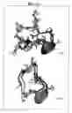 Fig. 04 - Method for synthesizing conformationally constrained peptides, peptidomimetics and the use thereof as synthetic vaccines