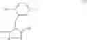 Fig. 18 - Antibacterial ester macrocycles