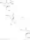 Fig. 33 - Antibacterial ester macrocycles