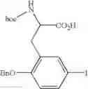 Fig. 41 - Antibacterial ester macrocycles