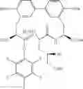 Fig. 53 - Antibacterial ester macrocycles