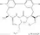 Fig. 94 - Antibacterial ester macrocycles